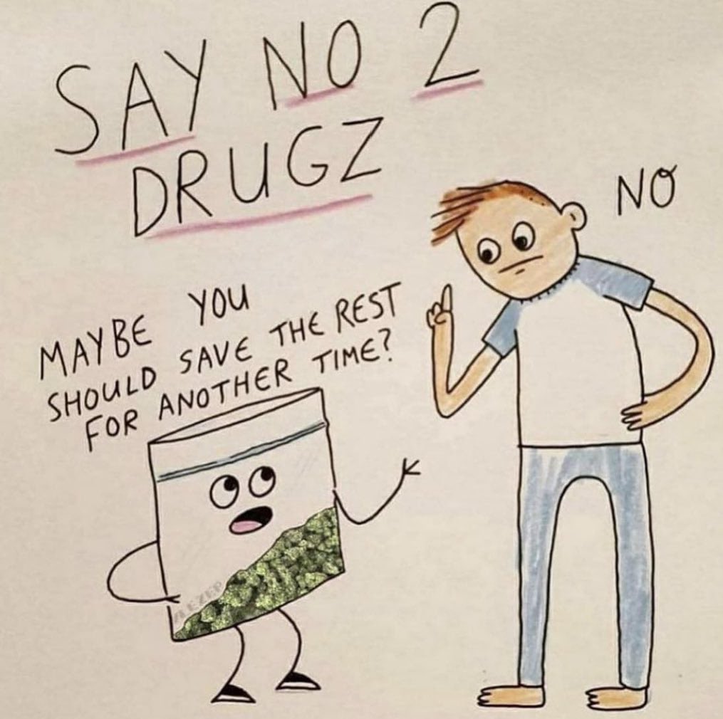 somethinglovely's tweet photo. gn https://t.co/bBDtH2JLBh