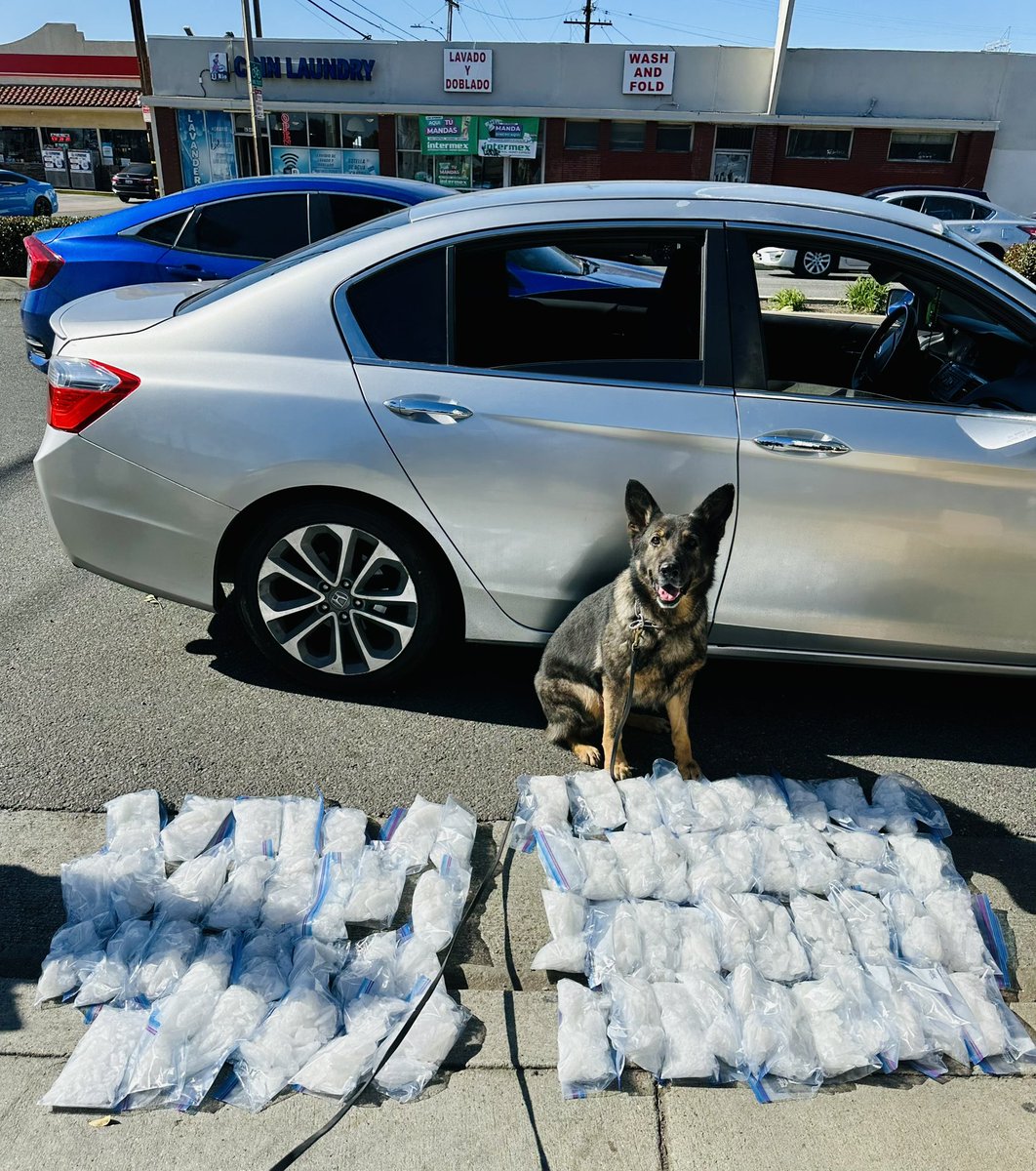 LAPDCARRANZA's tweet photo. With the assist of #K9 #Keisa your #LAIMPACT Group 4 seized
70 pounds of crystal #Methamphetamine Street value $4.3 million Doing their part to reduce deaths, overdoses, violent and property crime. The relentless pursuit continuous...#LAPD https://t.co/3YmF6jmaiR