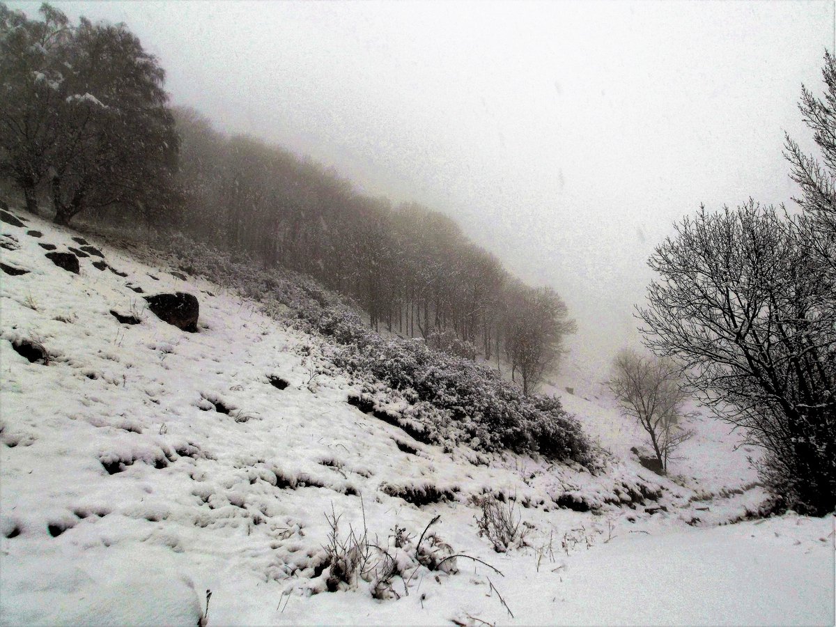Bon dia tingueu
🍀🍀🍀