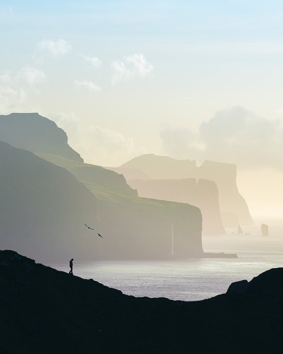 MarcoGrassi.eth tweet media