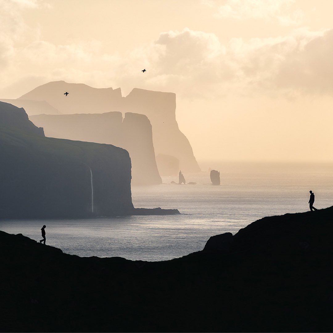 MarcoGrassi.eth tweet media