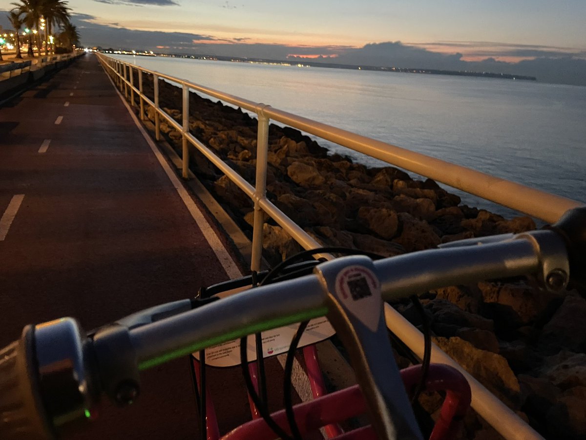 tfrau's tweet photo. @bicipalma @xiscod @IreneNombela @ajuntpalma @mobiapparc @TuFasPalma Espectacular el servei, les bicis, la app intuitiva i els ancoratges ja no son un drama com abans, simplement funciona, així si #Bicipalma #varodat #smappalma https://t.co/8LNrFjAPRM