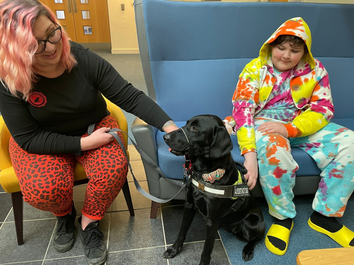 Assistance dogs are helping young people go to medical appointments and, in a first for <a href="/RCHTWeCare/">Royal Cornwall Hospitals NHS Trust</a> and perhaps the country, assistance dog Raffie was allowed in the recovery room to calm her owner after an op.
More with <a href="/dundonradio/">James Dundon 〓〓🥟 📻</a> and let him know why your pets are so special
