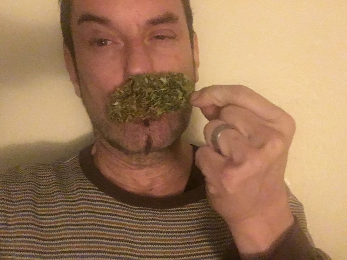 dante-on-twitter-see-me-and-my-funny-wife-rebekahkochan-rebekah