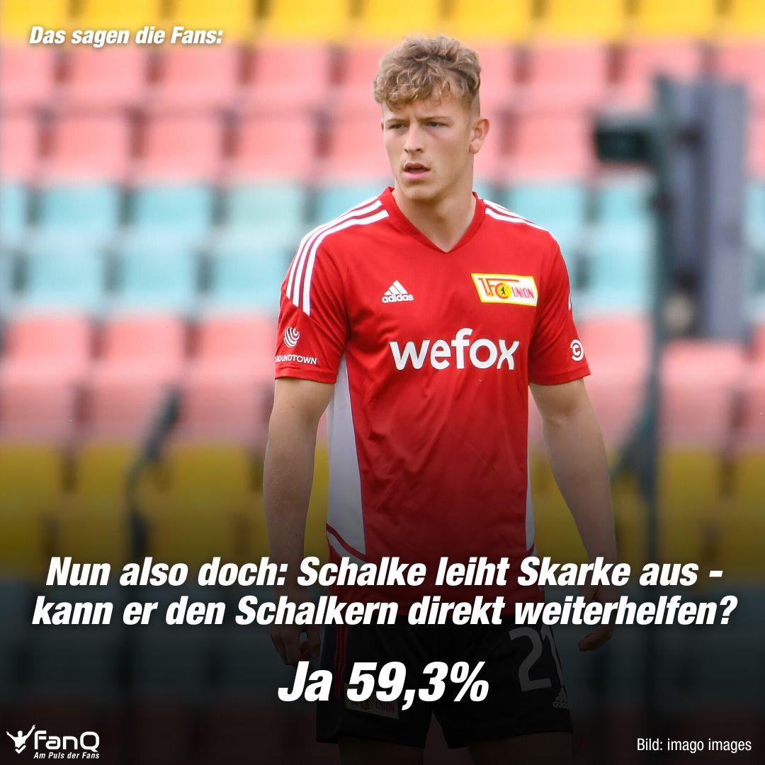 FanQ tweet media
