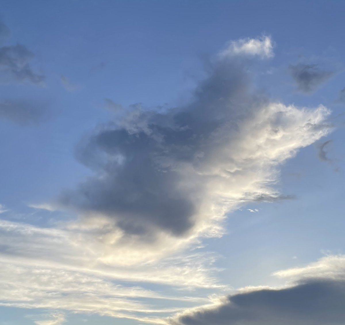 猿｜theapE tweet media