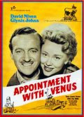 daveainsworth63's tweet photo. Film of the day - Appointment with Venus (1951) Quirky Betty Box drama based on a real event starring David Niven, Glynis Johns, Kenneth More and Barry Jones. Location shots were filmed on Sark. @TalkingPicsTV 3pm this afternoon #BettyBox #DavidNiven #Sark #ChannelIslands https://t.co/4n2cnPgoUQ