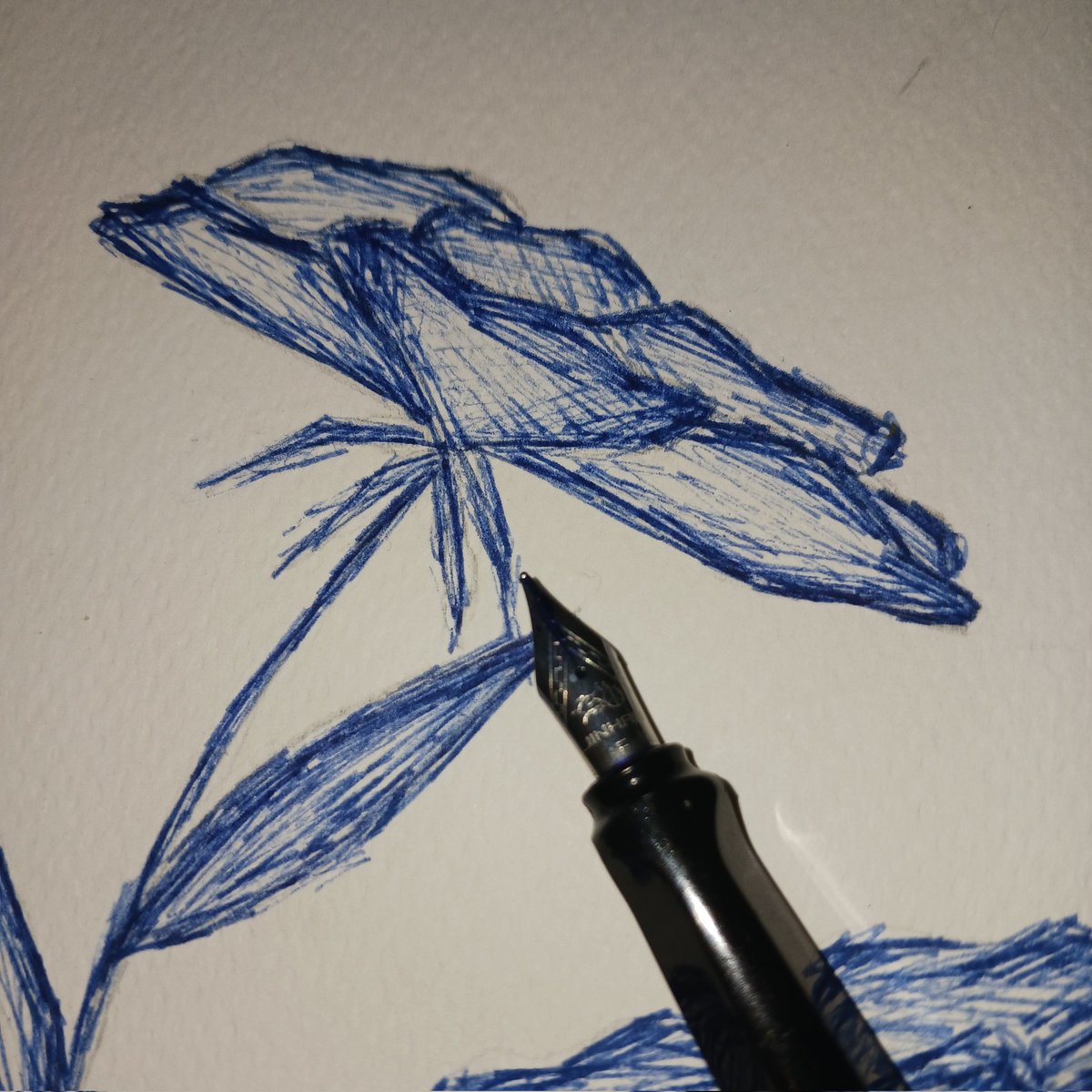 rose