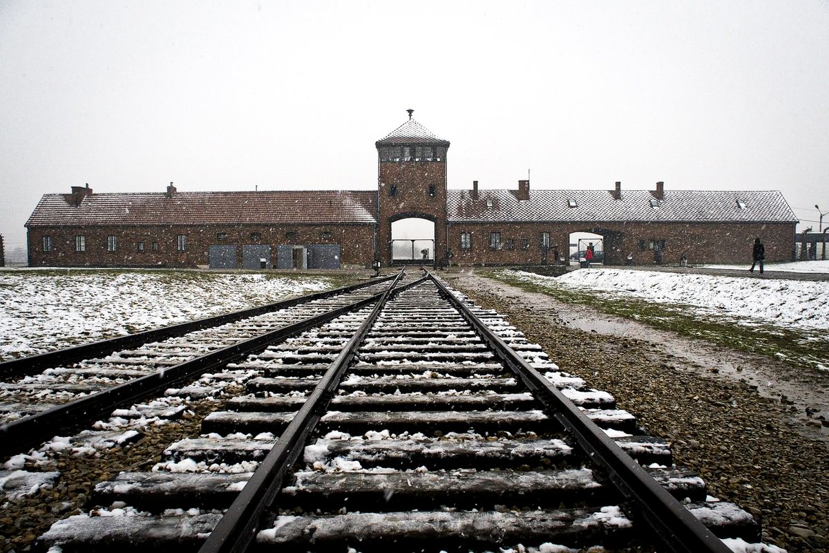 Today is Holocaust Memorial Day. We remember the six million Jewish men, women and children murdered by the Nazis and their collaborators, all victims of Nazi persecution and the victims of subsequent genocides. #HMD2023 #HolocaustMemorialDay