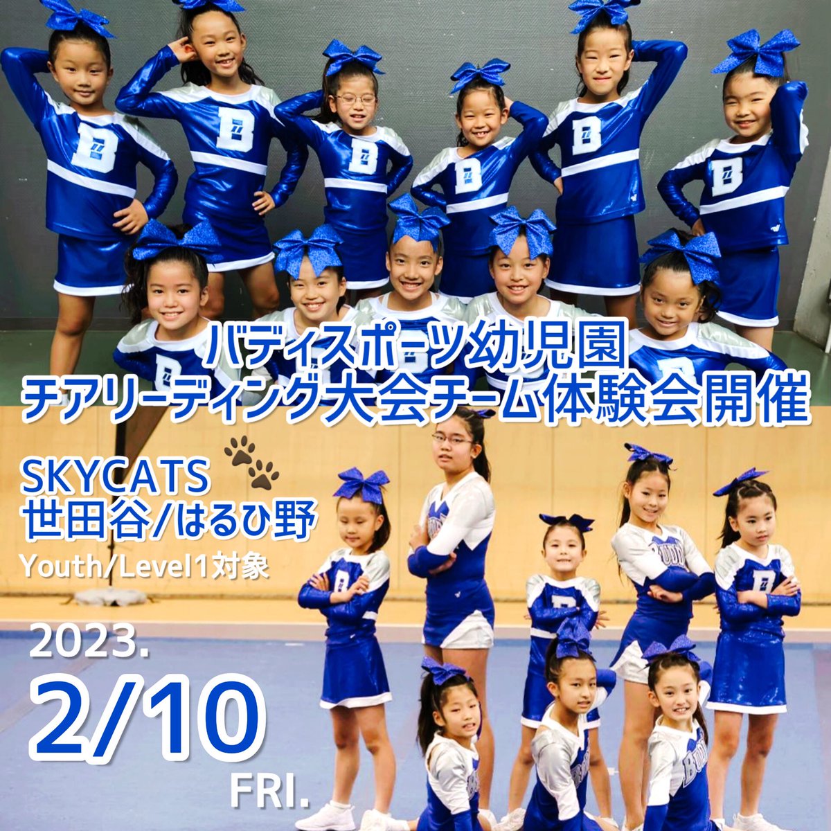 バディはるひ野 on X: バディはるひ野 on X: