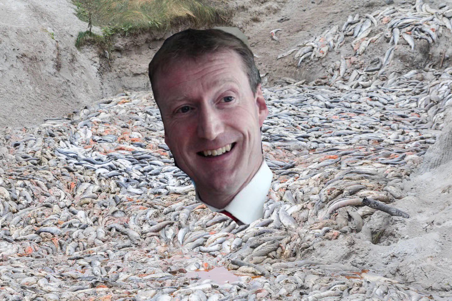 Don Staniford on Twitter "World Exclusive tavishscott denies