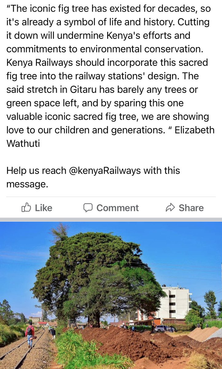 .⁦@KenyaRailways_⁩ ⁦@Environment_Ke⁩ ⁦@DaimaGreenSpace⁩ @kot help us save our majestic trees. Railway stations can be built anywhere, trees cannot move. #SDGs #HonorKenyans