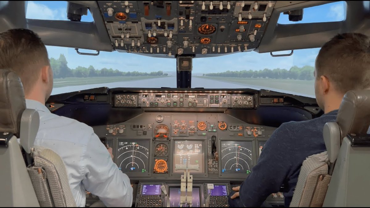 SimFlying tweet media