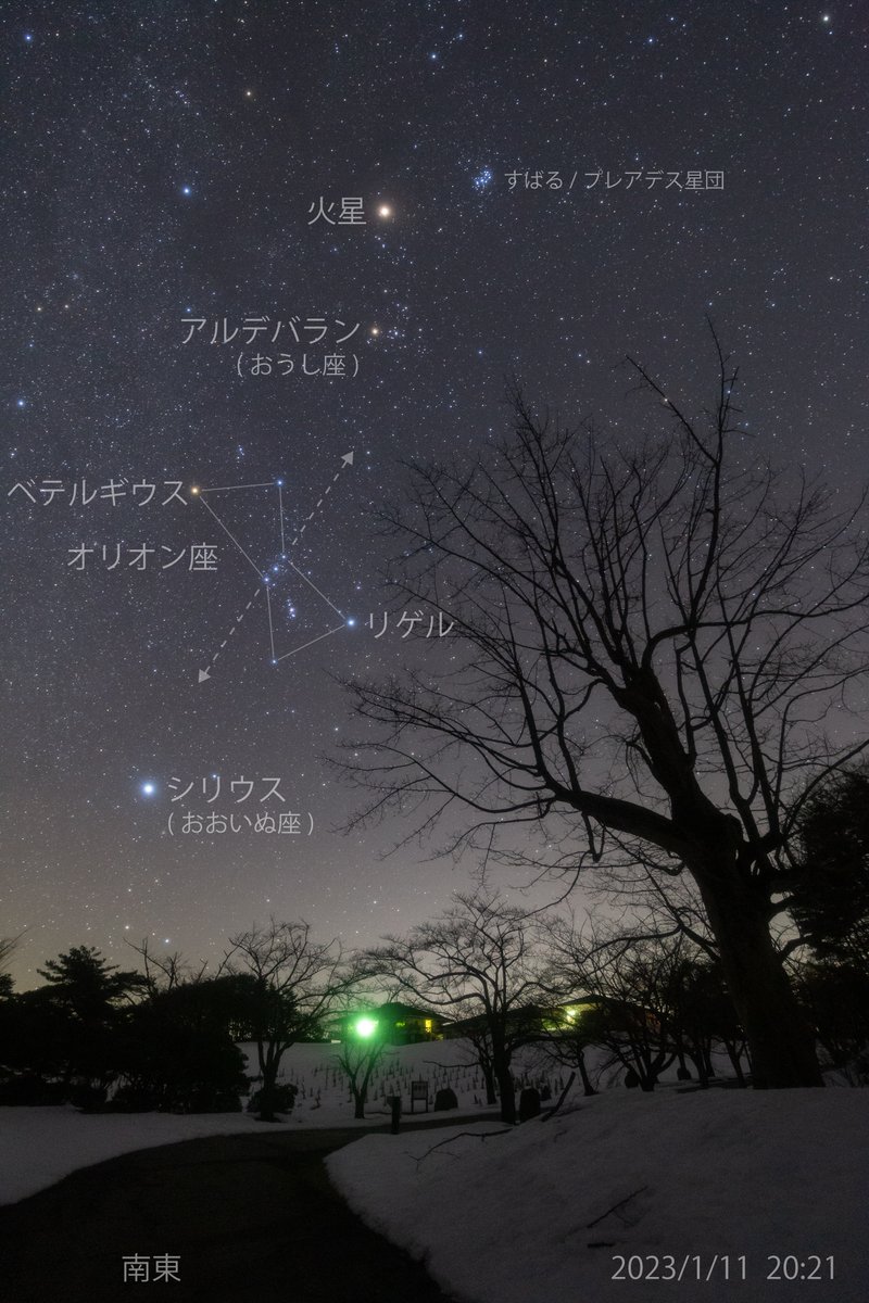 飯田さやか on Twitter