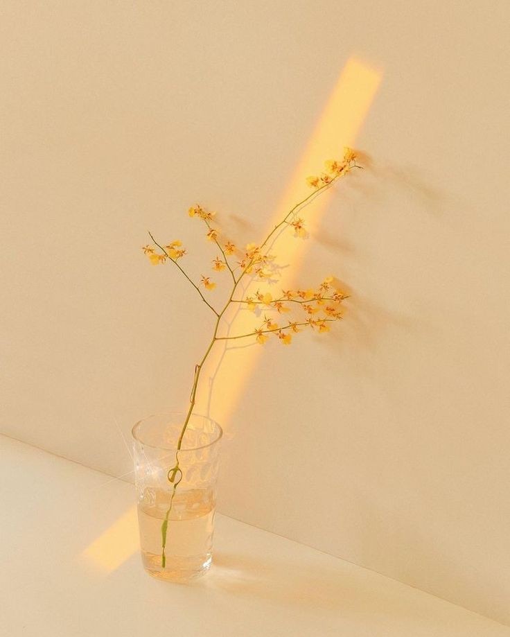 ㅤㅤㅤㅤㅤㅤㅤ
ㅤㅤㅤㅤㅤㅤㅤㅤ—  𝙮𝙤𝙪𝙧 𝙨𝙪𝙣𝙣𝙮 𝙠𝙞𝙨𝙨.

на связи Кавех — известный архитектор, ценящий настоящее искусство. с радостью поболтаю [посплетничаю] с тобой, кем бы ты ни был. 
ㅤㅤㅤㅤㅤㅤㅤ