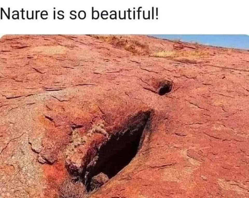 Claire J Cheeseman (@cjcheesecake) on Twitter photo 