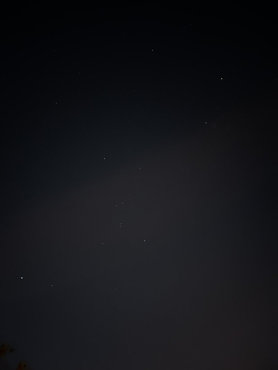 Sopitaت tweet media