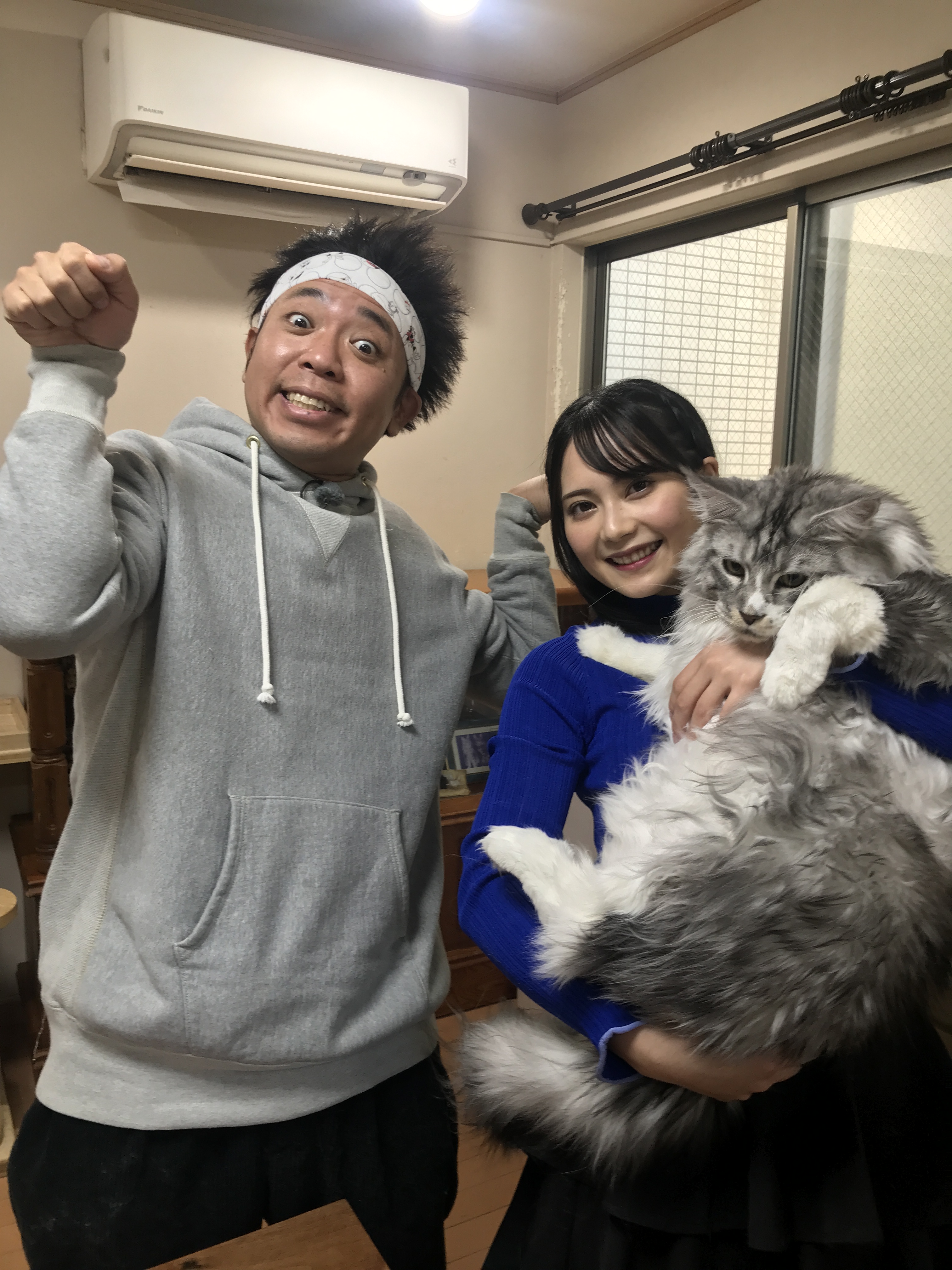BS-TBS ねこ自慢【公式】 on X: 