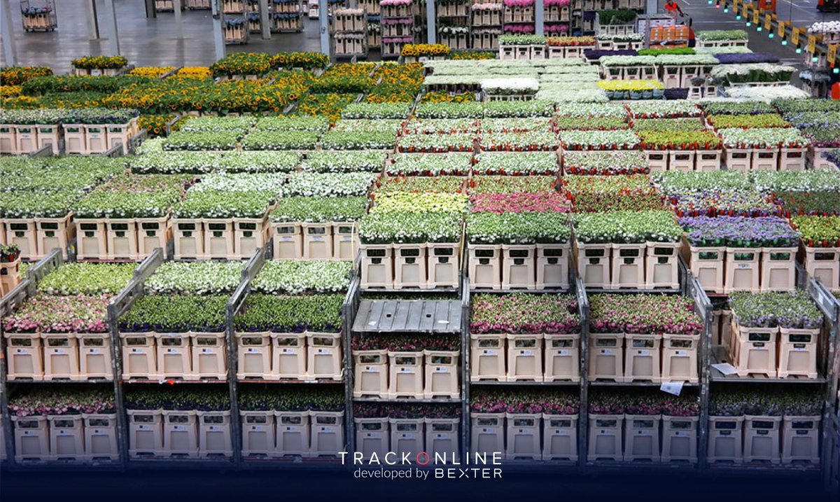 Today is the last day of the IPM Fair in Essen. Wednesday, we were ready to explain the benefits of TrackOnline to everyone. 🙌

Whether it's Danish carts, plates, barrels or roll containers, you know exactly where they are with TrackOnline.