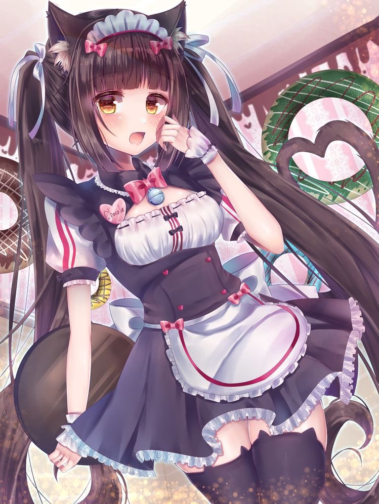 nippicat's tweet photo. i have no much to add by her and this cat picture i found on instagram,i think it’s very funny XDDDDD https://t.co/noKXOHt5qe