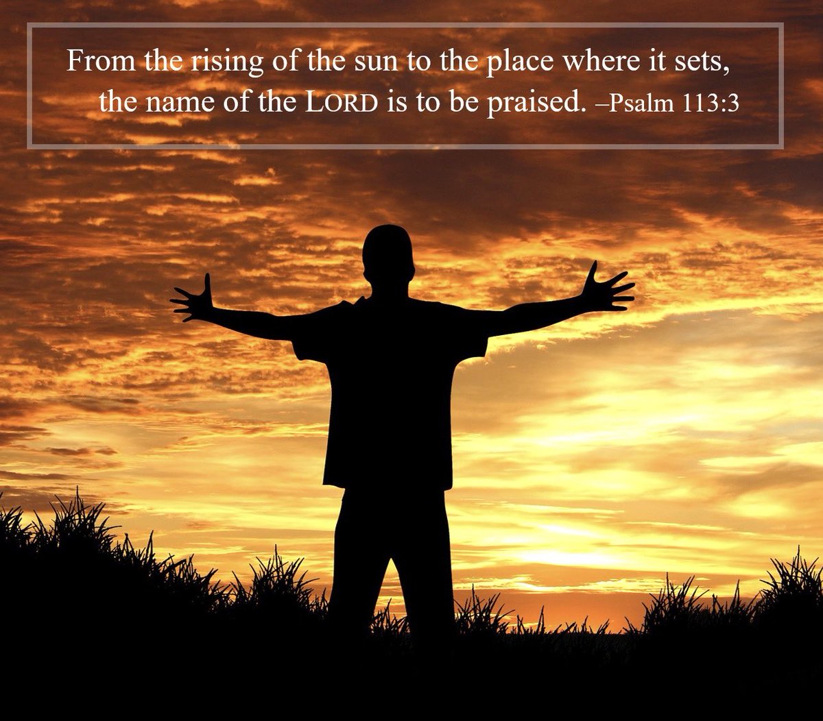 Wayne Biehn (@warrior4king) on Twitter photo 
