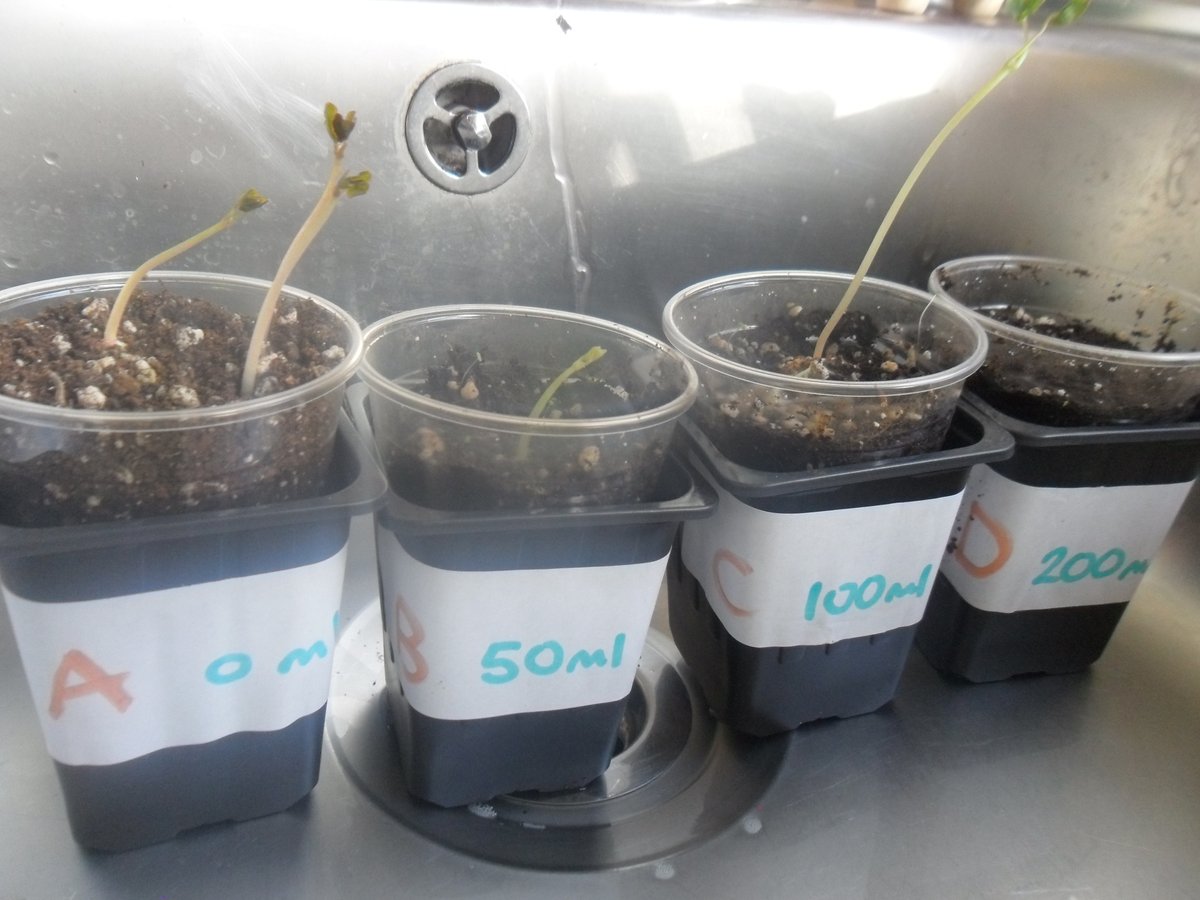 Year3Beck tweet media