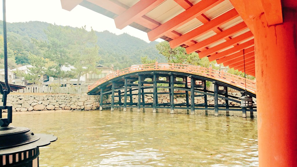 本当に海の上にあるんだ!と感動した。海の上を歩いてるの、とても不思議だった。それが何百年も受け継がれて来てるって、すごいなとも。ずっとわーって思いながら口が開いてた。(マスクがあって良かった) https://t.co/o2qQNAJtYe