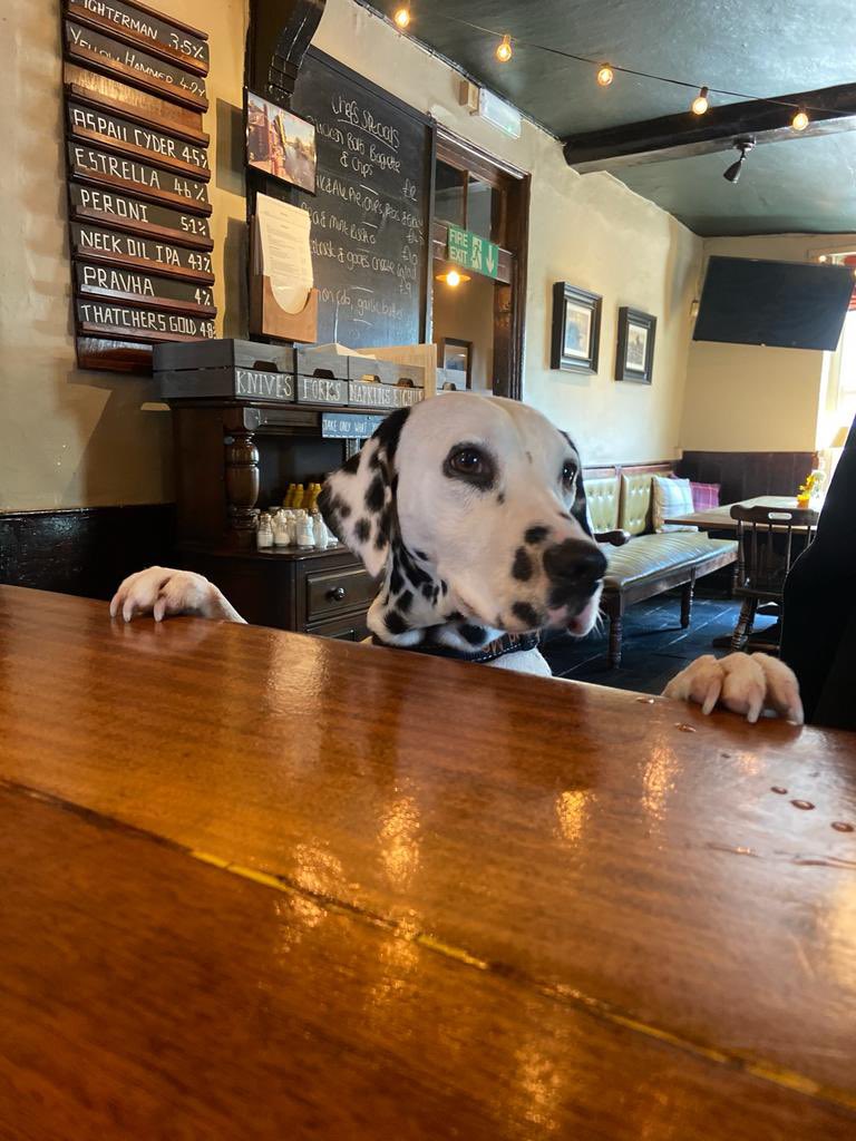 We get asked very frequently “Are you dog friendly?”, Well… we are VERY dog friendly. Dog treats, dog bowls and even a dog roasts dinner for the pooches every Sunday. And for the summer the canal for them to swim in, large beer garden and dog ice cream!🐾🐕‍🦺🦮🐩🐕
