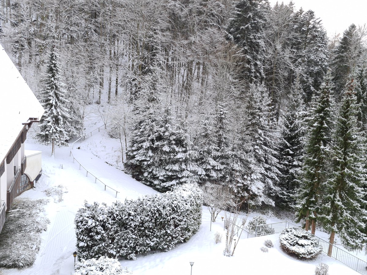 Guten Morgen liebe Twitterfreunde! Kommt gut und gesund durch den Tag und vergesst nicht, ab und zu mal zu lächeln. ☕️💚🍀