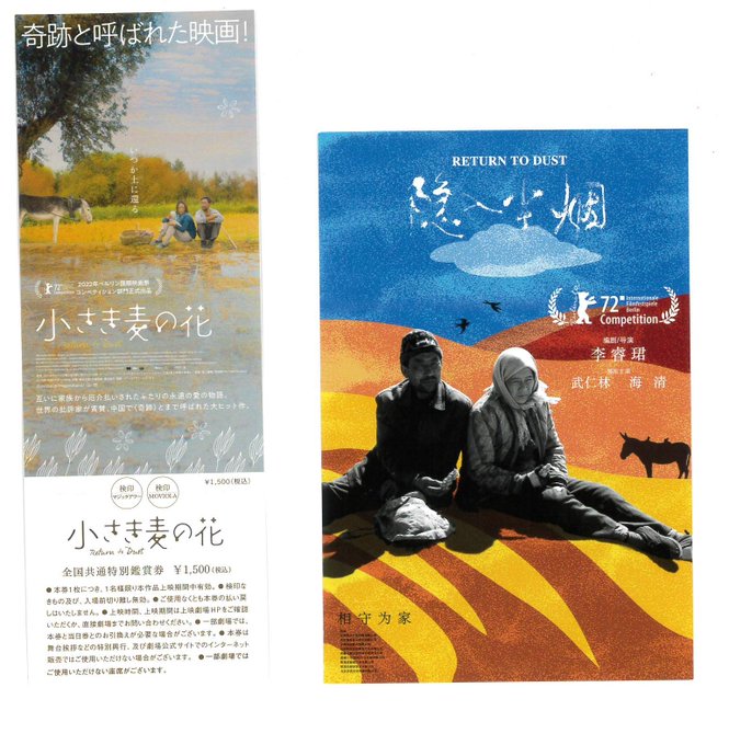 マヤの秘密 横浜の映画館 ミニシアター シネマ ジャック ベティ