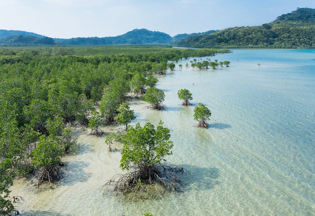 Interested in Nature-Based Solutions for coastal defense? Have a look to this opportunity to work with us (deadline 2/2/2023):
#nbs #coastalprotection #coastalresilience #coastalengineering #climatechange #adaptation
fundacionih.es/en/1-tecnologo…
More info contact me (mazame@unican.es)