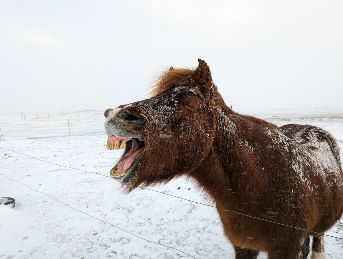 Maybe the best photo I've ever taken 📸 Pixel 7 Pro #TeamPixel