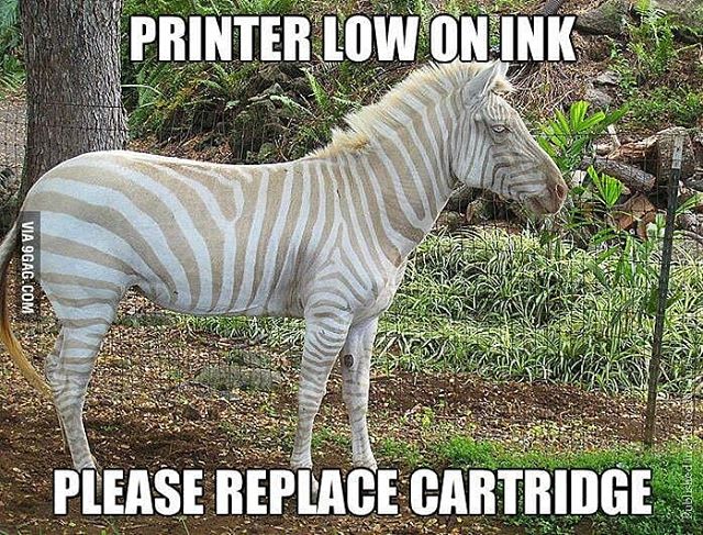 CW0752's tweet photo. Happy Friday! How about a meme? https://t.co/n0dsoDOs7b