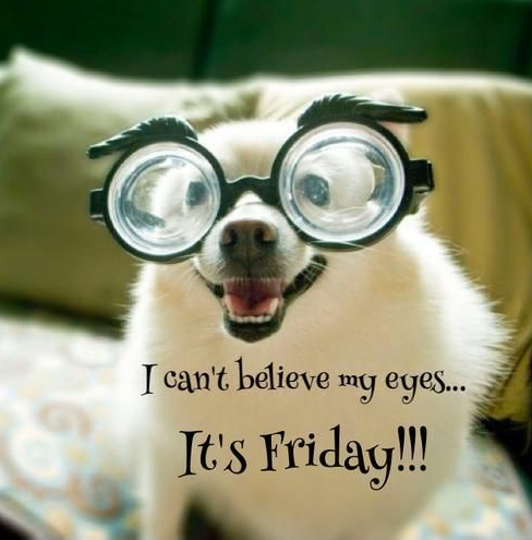 Oh yes I did say it...Happy Fri-YAY!!🎉
Enjoy your weekend, we made it through January!
Make sure to stop at our store and get everything you need for the weekend 😊