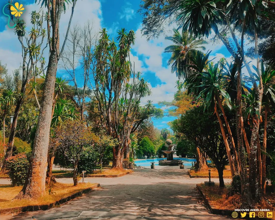 DiscoverAddis's tweet photo. Ethiopian oldest university, Addis Ababa University, was founded in 1950 as University College of Addis Ababa. In 1961 it was restructured and renamed Haile Selassie I University, and in 1975 it adopted its present name. https://t.co/mX73MHmUWe