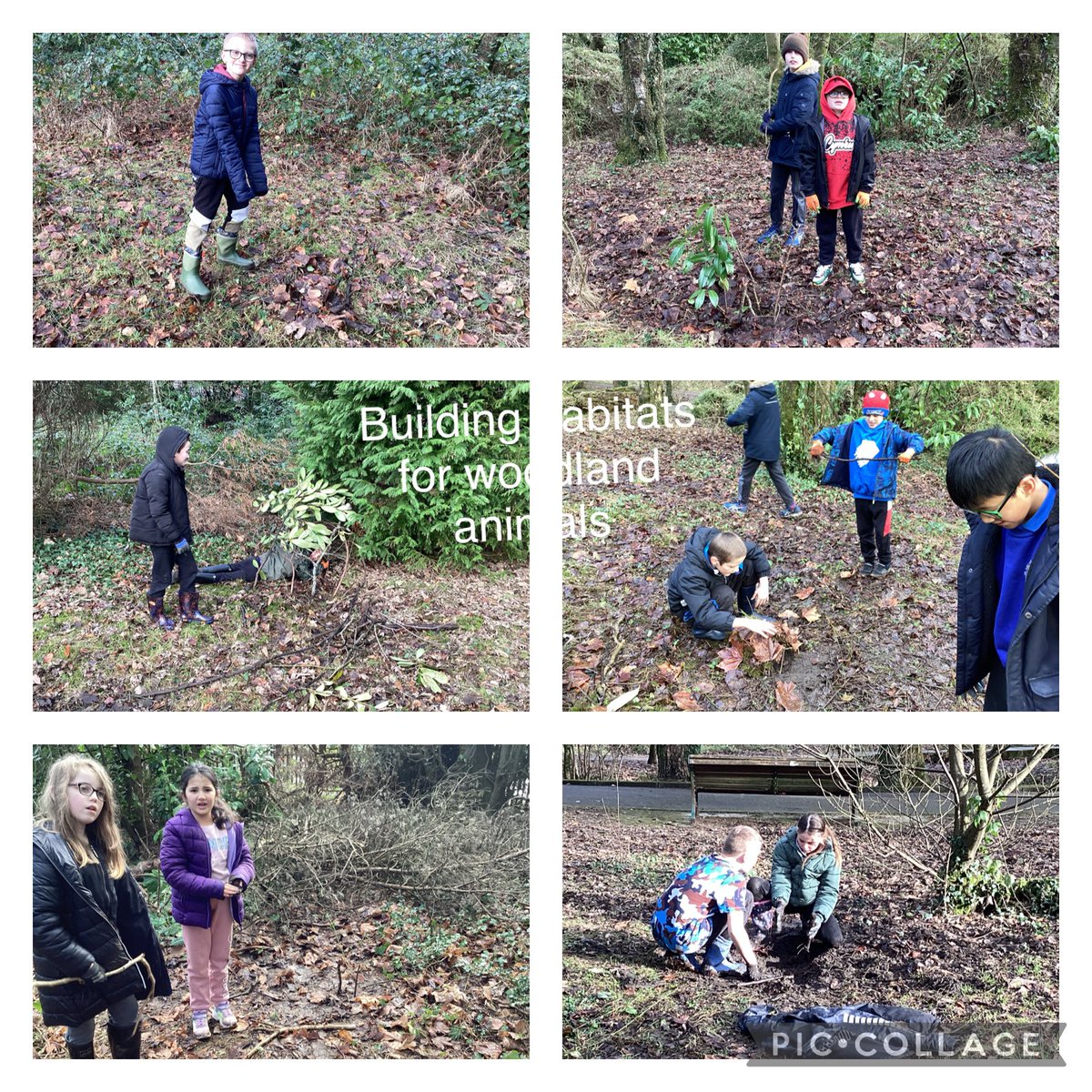 @Plasnewydd_EFYDD (@dosbarthefydd) on Twitter photo 