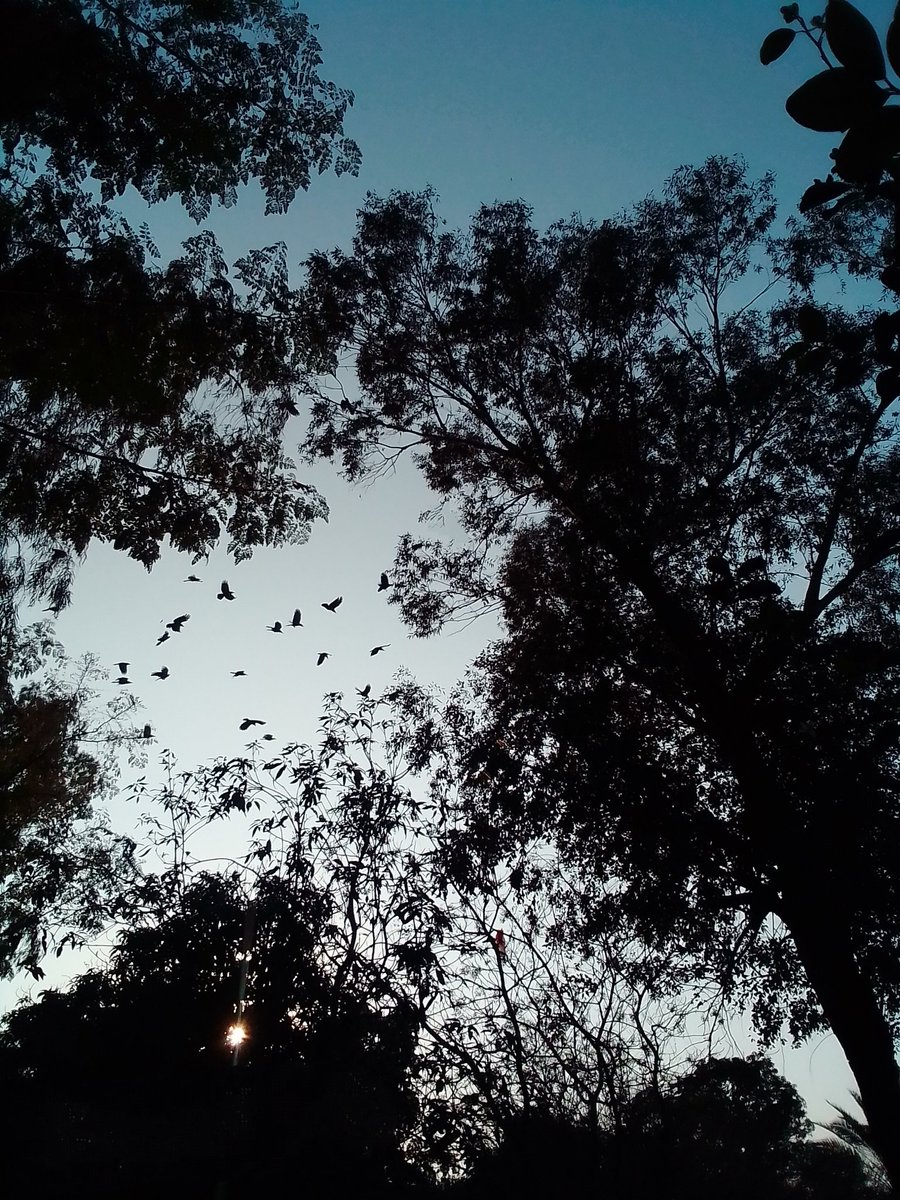 shahfarkhanda7's tweet photo. 🍂 https://t.co/U8YOYxDPy0