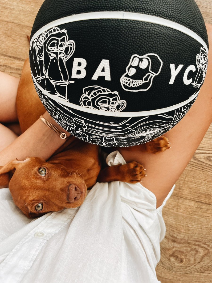 mich_viljoen's tweet photo. Throwback to how tiny Kiko was!

She turned 1 on Jan 15th 🥳 @BoredApeYC basketball for size then vs now!🐕🍌 https://t.co/0ynzb8Nxk6