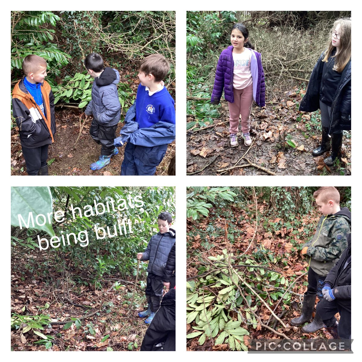 @Plasnewydd_EFYDD (@dosbarthefydd) on Twitter photo 