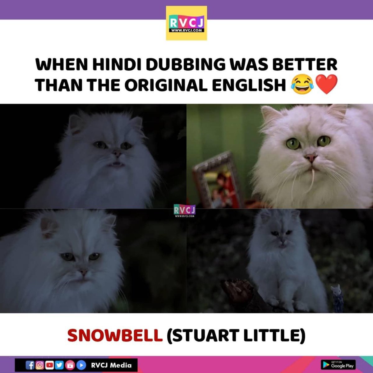 Those days..
#stuartlittle #snowbell #hollywood #hindidubbed #rvcjmovies