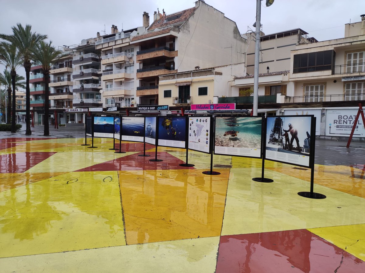 🆕Des d'avui i fins al 6 de març, visita l'expo📸 gratuïta #SOCIB: “Investiguem el #mar, compartim futur” al Port d'Alcúdia📍

👉Coneix-nos i descobreix el nostre compromís amb la #recerca d'excel·lència, la #innovació, l'#EducacióAmbiental i la #culturaoceànica 🌊

#ICTSNews