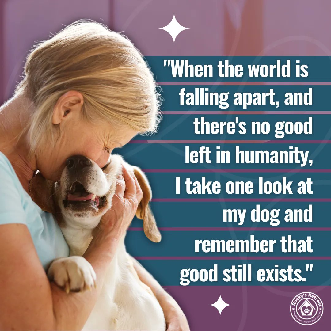 The world should be run by dogs. End of story. 'Like' if you agree!

#thoughtfortheday #thankdogitsfriday #orlandodoggos #doglife #orlandodogboarding #fridayvibes