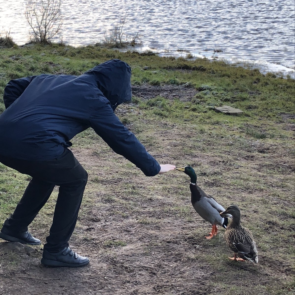 During IDL today, learners completing their Duke of Edinburgh award were out on a trip and visited the ducks. #Outdoorlearning #DofE @DofEScotland