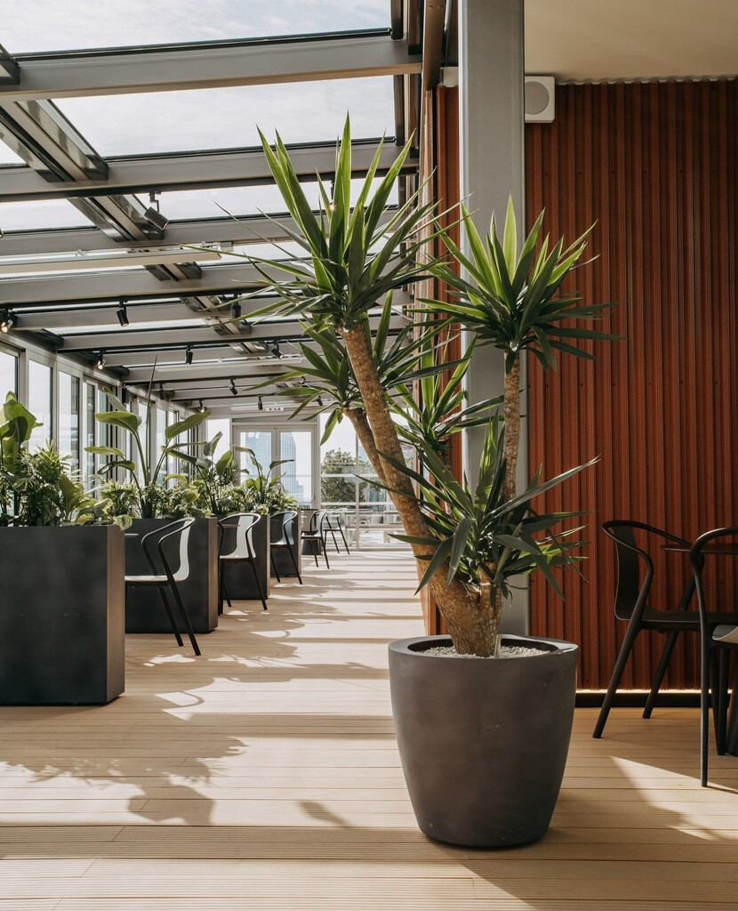 The last Friday of January is here! We can barely be-leaf it 🥳⁠
⁠
As always, it's been a pretty gloomy month, but one thing that's cheered us up is getting to spend everyday looking at beautiful plants. What has cheered you up this month?⁠
.⁠
.⁠
… instagr.am/p/Cn65vkEMl1k/