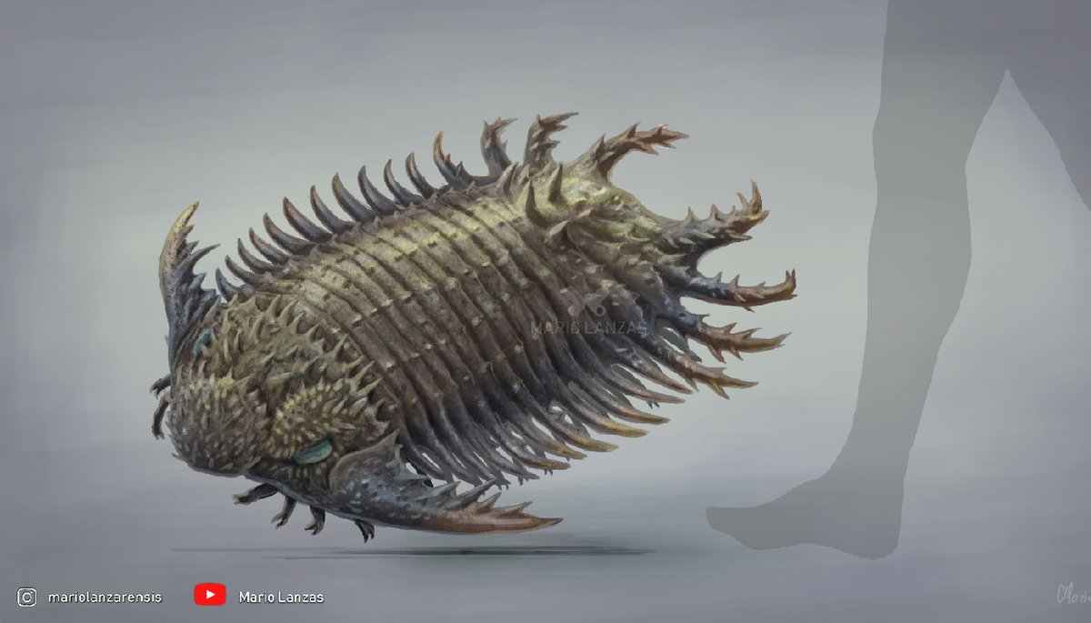 mariolanzas5's tweet image. TERATASPIS
is one of the largest Trilobites known. (From the Paleozoic Aquatic Animals video:youtu.be/LZdBhr_2hNo) They lived in the Devonian period. found in what is now N. America #trilobites #terataspis #devonian #bichaco #paleoart
