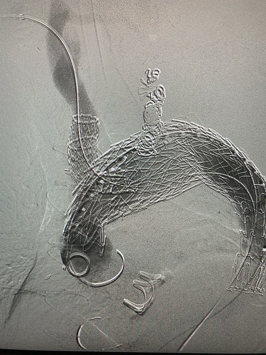 Rami Tadros tweet media