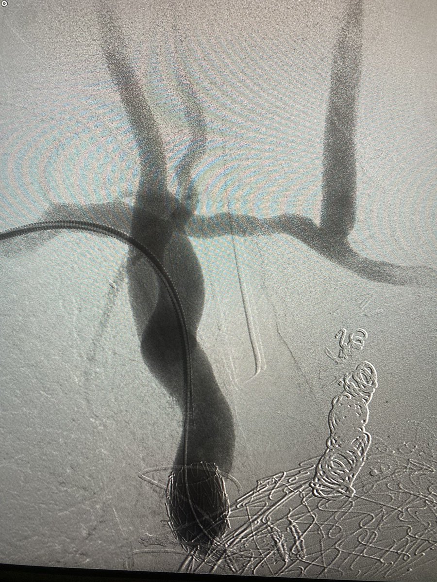 Rami Tadros tweet media