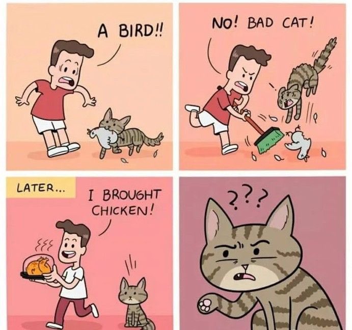 True 🤷‍♂️😂