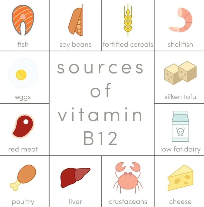 Studying Medicine on Twitter "Vitamin B12 (cobalamin) Source animal