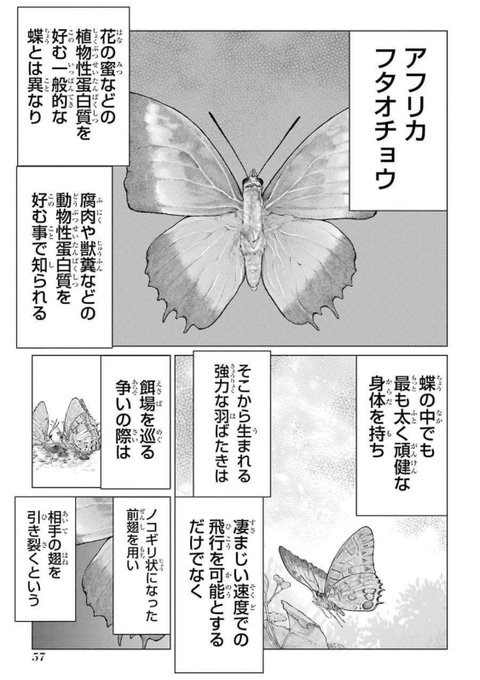 女子に耳かきしてもらうだけの漫画 